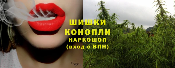 мяу мяу мука Гусь-Хрустальный