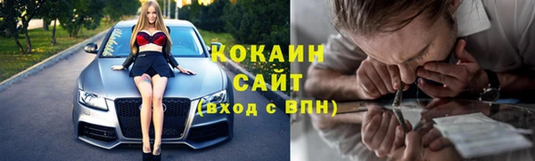 мяу мяу мука Гусь-Хрустальный