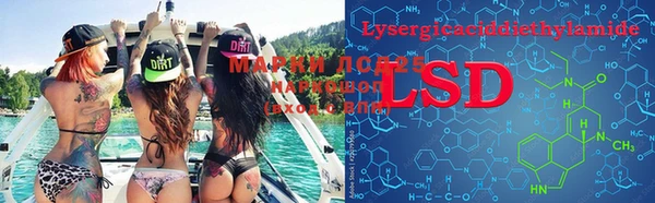 мяу мяу мука Гусь-Хрустальный