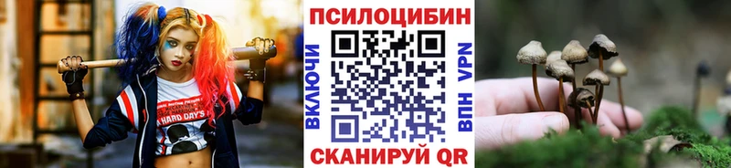 Псилоцибиновые грибы прущие грибы  Дигора 